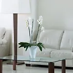 La Floridiana 4*