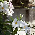 La Floridiana Ξενοδοχείο 4*