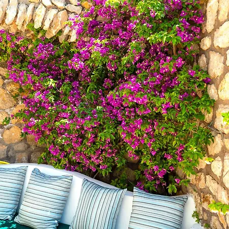 Hotel La Floridiana 4*