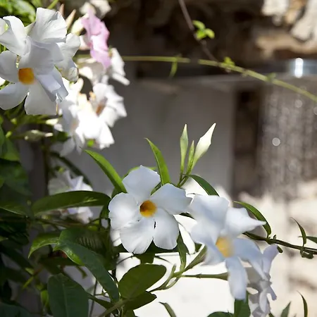 La Floridiana Hotel 4*