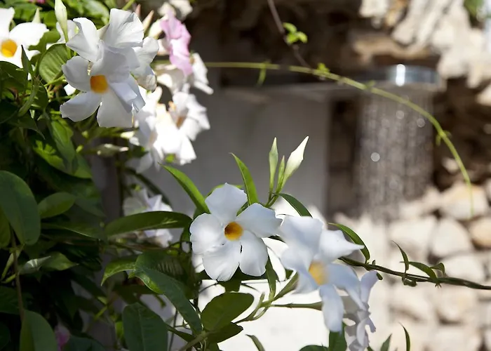 ラ フロリディアーナ ホテル 4*