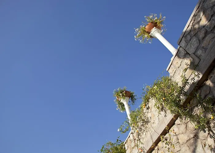 ラ フロリディアーナ